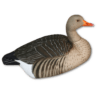 Image of GHG Greylag Decoy - Painted Shells