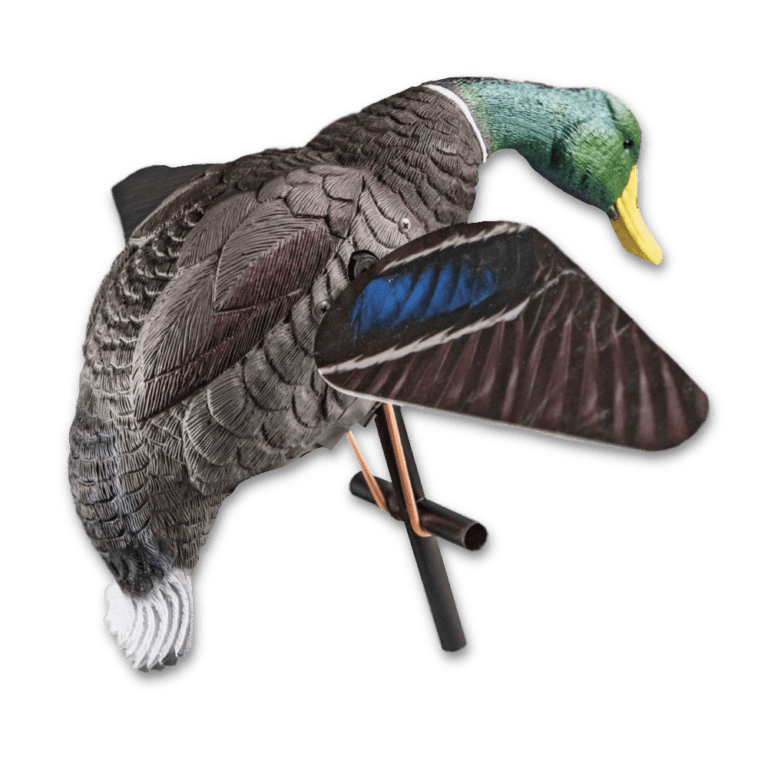 Lucky Duck Lucky HD Drake Mallard Decoy Lucky Hunter lucky-duck-lucky-hd-drake-mallard-decoy-lucky-hunter