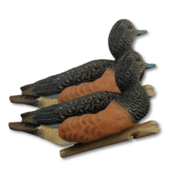 Image of Avian-X Widgeon (European) Duck Decoys