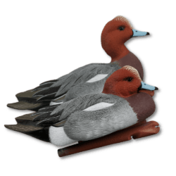 Image of Avian-X Widgeon (European) Duck Decoys