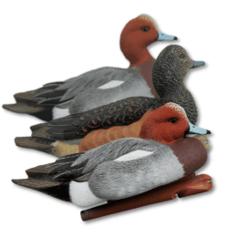 Image of Avian-X Widgeon (European) Duck Decoys