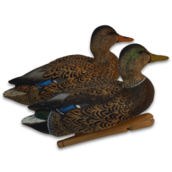 Image of the Early Season Avian-X Mallards