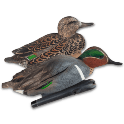 Image of the Avian-X Topflight Green-Winged Teal Duck Decoys