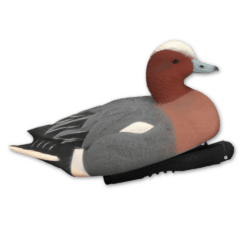 Image of GHG Wigeon Decoy