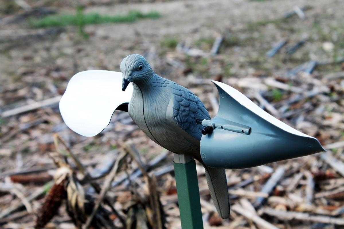 Dove mojo discount