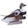 Image of the GHG Long-Tailed Duck foam filled decoys