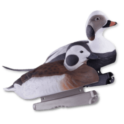 Image of the GHG Long-Tailed Duck foam filled decoys