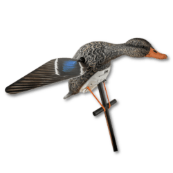 Image of the Lucky Duck Lucky HD Hen Mallard Spinner