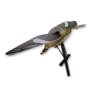 Image of Lucky Duck Pigeon HD