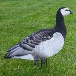 Image of Big Al's Silhouette Barnacle Decoys from a side view on a grass field