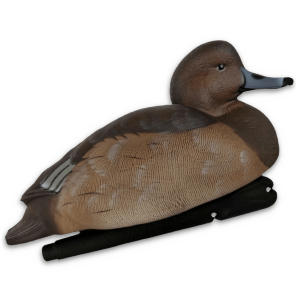 Avian-X Topflight Redhead Duck Decoys | Lucky Hunter
