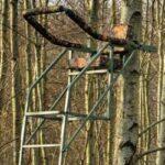 Treestands