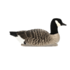 Avian-X floating decoys