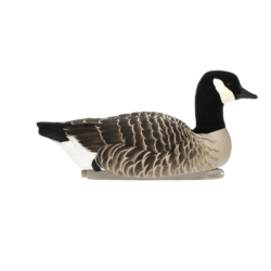 Avian-X floating decoys