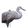 Big Al's Crane
