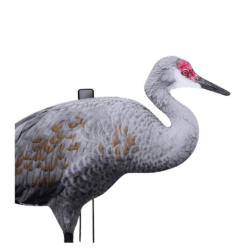 Big Al's Crane