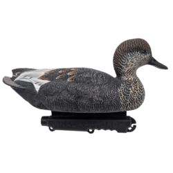 Formes de Gadwall Final Approach